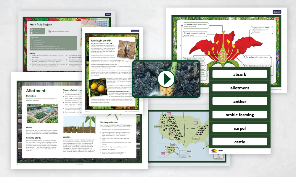 Year 5 Thematic Project Allotment covering Primary Geogprahy