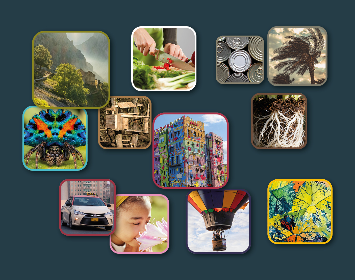 Topics and projects