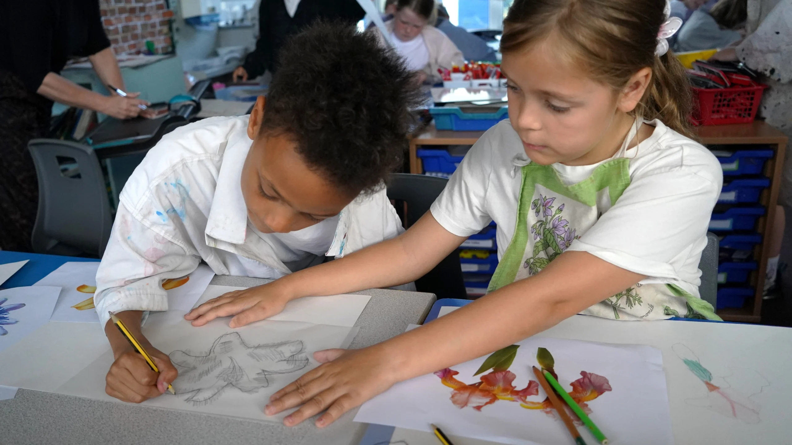 Art Curriculum