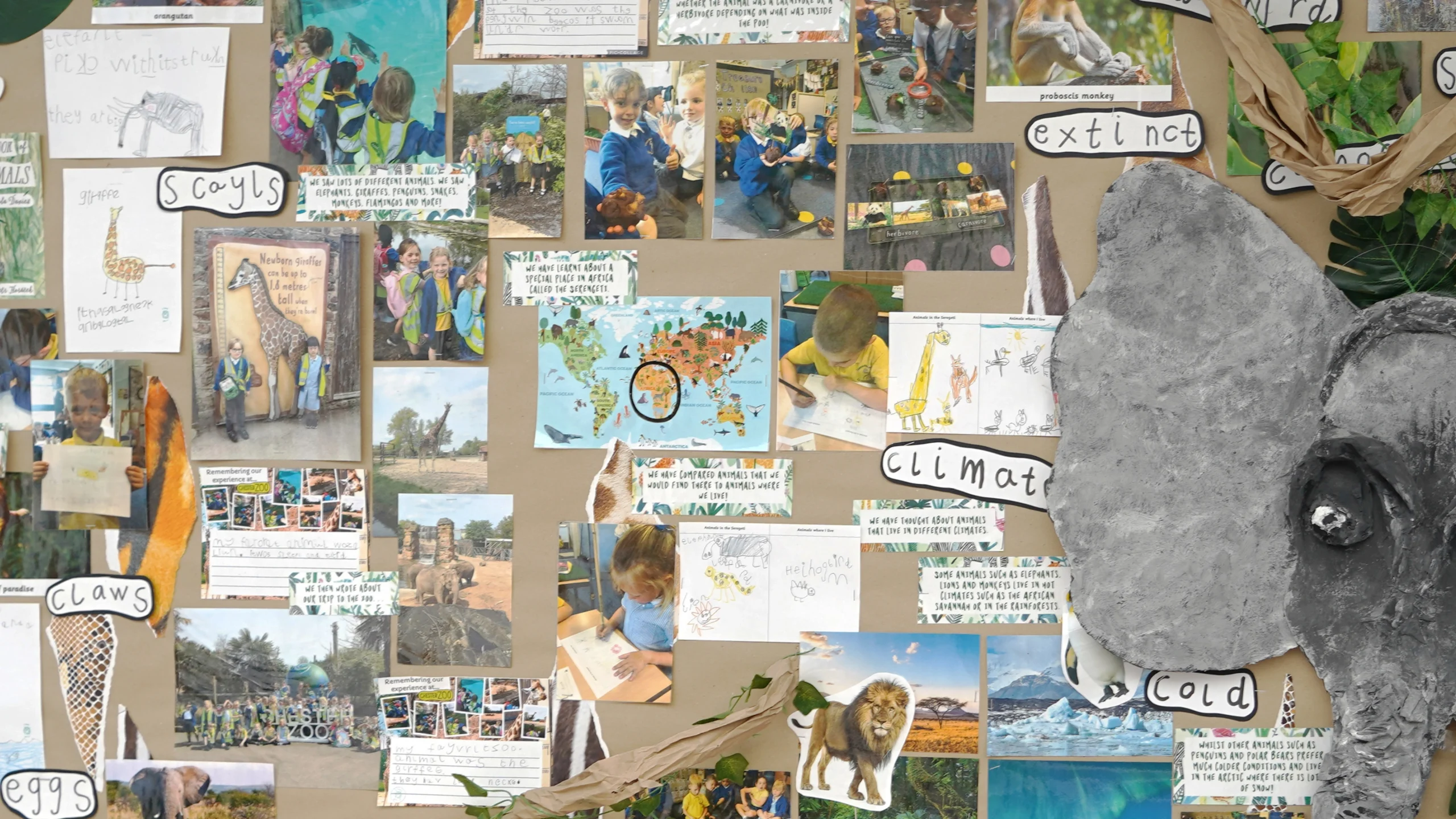 Geography Curriculum