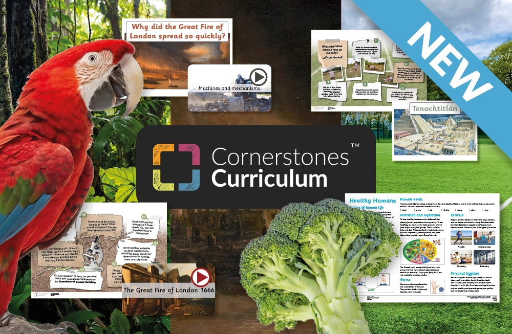 A future-ready curriculum for primary schools