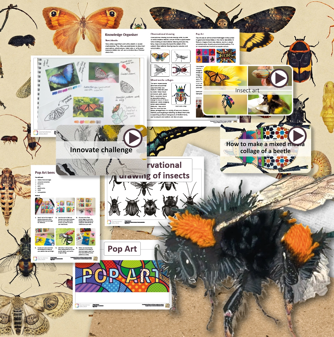 Resources from the Winged Wonders project
